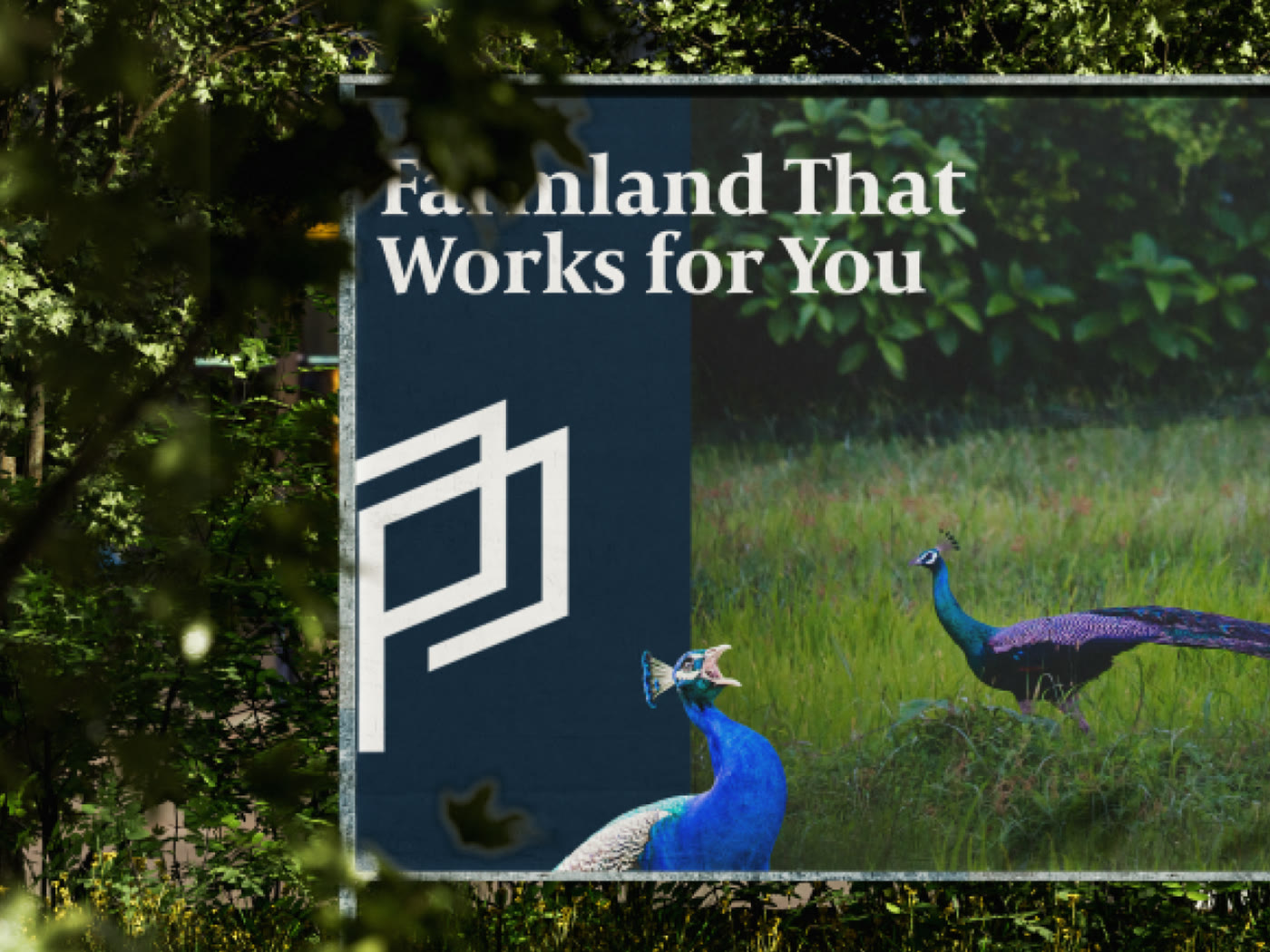Paavani print and digital collateral